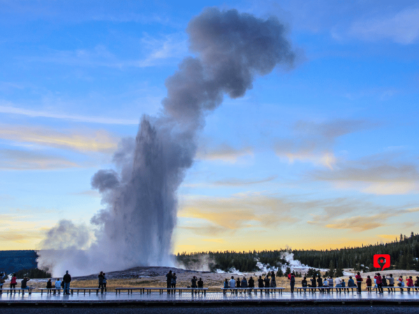 Yellowstone National Park: Self-Guided Scenic Drive Tour - Frequently Asked Questions