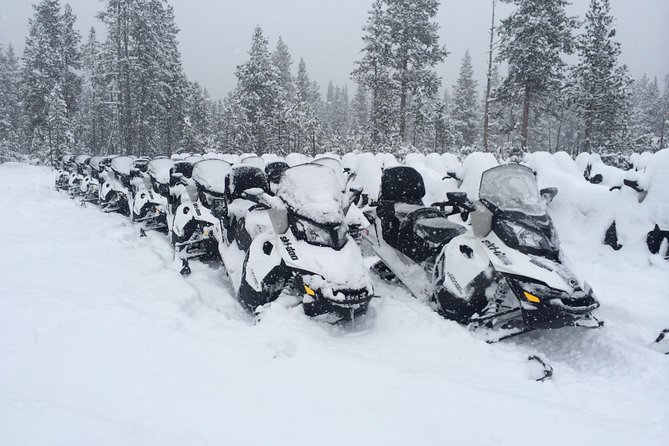 Yellowstone Old Faithful Full-Day Snowmobile Tour From Jackson Hole - Exploring Yellowstones Geothermal Wonders