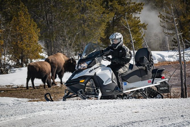 Yellowstone Old Faithful Full-Day Snowmobile Tour From Jackson Hole - Common Questions