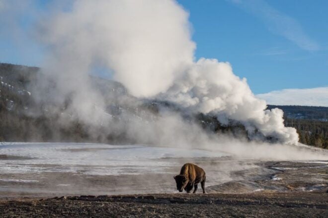 Yellowstone: Old Faithful, Waterfalls, and Wildlife Day Tour - Additional Information