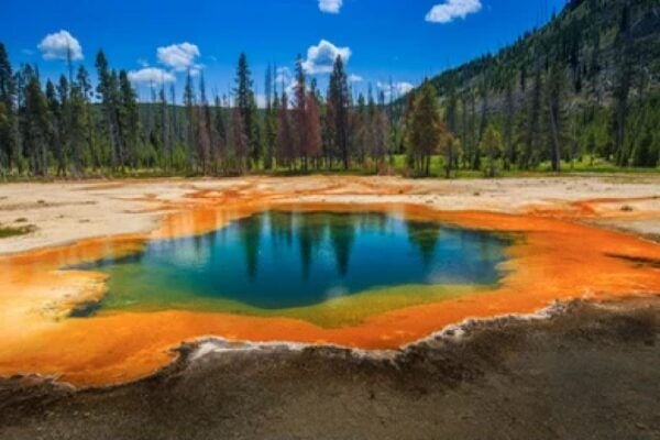 Yellowstone: Old Faithful, Waterfalls, and Wildlife Day Tour - Directions