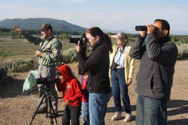 Yellowstone: Old Faithful, Waterfalls, and Wildlife Day Tour - The Sum Up