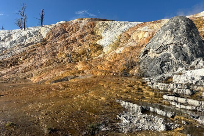 Yellowstone Park Private Day Trip from Big Sky - Full or Half Day - What Our Reviewer Heard from Past Travelers