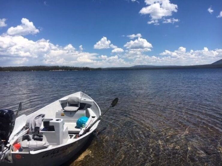 Yellowstone: Private Lewis Lake Fishing Trip From Jackson - Fishing Experience