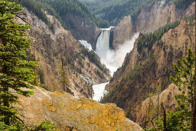 Yellowstone Private Tour Up To 14 - A Surprise Activity Included - What to Expect from the Yellowstone Private Tour