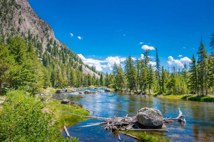 Yellowstone & Rocky Mountain: Self-Guided Driving Audio Tour - Good To Know