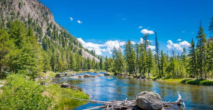 Yellowstone & Rocky Mountain: Self-Guided Driving Audio Tour - Tour Highlights