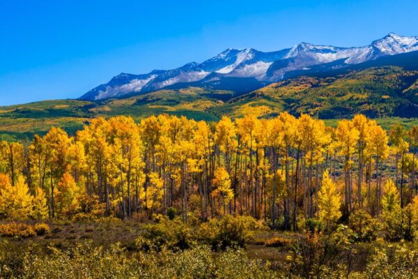 Yellowstone & Rocky Mountain: Self-Guided Driving Audio Tour - Important Information