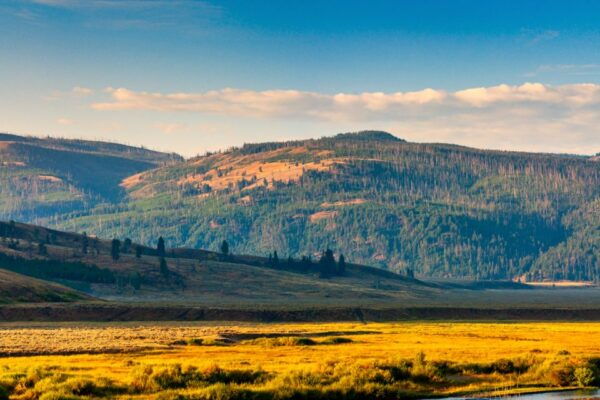 Yellowstone & Rocky Mountain: Self-Guided Driving Audio Tour - Action Tour Guide App