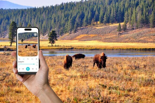 Yellowstone: Self-Driving Audio Tour From West Entrance (EN) - Provider Information