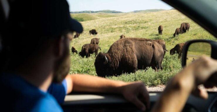 Yellowstone: Self-Guided Tour of National Park Highlights - Route and Specific Stops