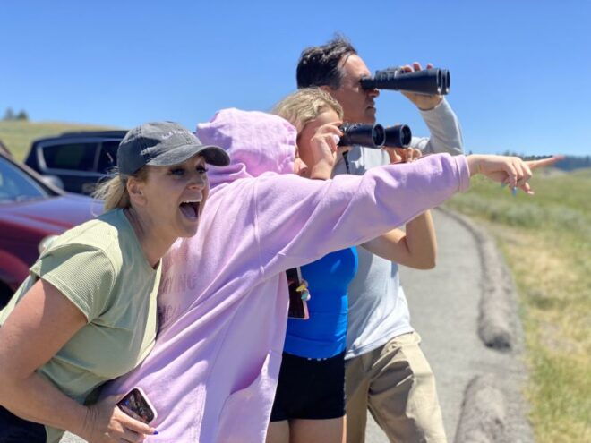 Yellowstone: Sightseeing Tour - Common Questions