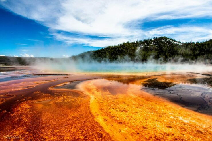 Yellowstone Small-Group Tour From Paradise Valley & Gardiner - Tour Duration and Guide Availability