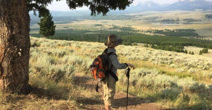 Yellowstone Small-Group Tour From Paradise Valley & Gardiner - Private Group Experience Choices