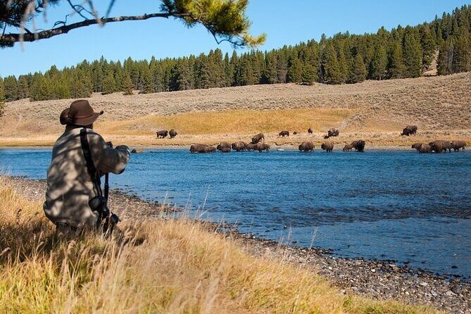 Yellowstone Through the Lens Photography Adventure - An In-Depth Look at the Yellowstone Through the Lens Tour
