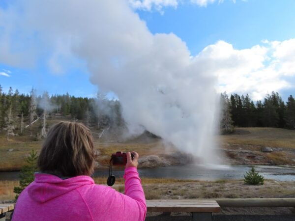 Yellowstone: Upper Geyser Basin Hike With Lunch - Wildlife Spotting in Yellowstone