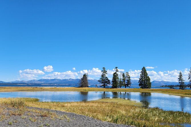 Yellowstone Wildlife Tour - Good To Know