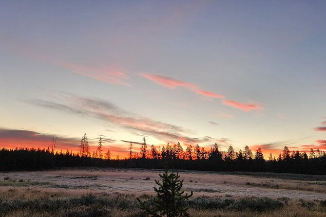 Yellowstone Wildlife Tour - FAQ