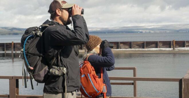 Yellowstone: Winter Wildlife & Snowshoe Adventure - Expert Guidance and Immersion