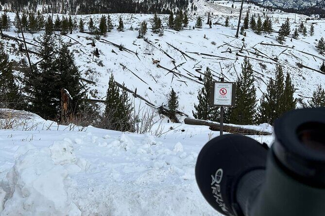 Yellowstone Winter Wildlife with Snowshoeing VIP Experience - An In-Depth Look at the Yellowstone Winter Wildlife & Snowshoeing Tour