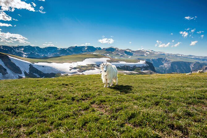 Yellowstone's Lamar Valley & Picnic Private Tour + Wildlife Guide - Itinerary Breakdown