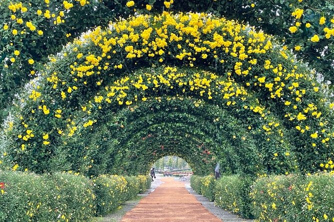 Yeoncheon Chrysanthemum Festival - Pyeongtaek Departure - Festival Activities