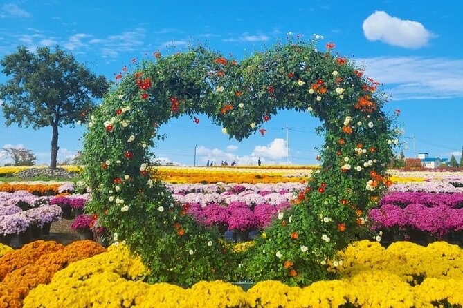 Yeoncheon Chrysanthemum Festival - Pyeongtaek Departure - Festival Dates and Location