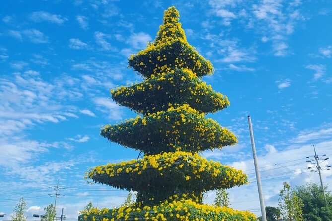 Yeoncheon Chrysanthemum Festival - Pyeongtaek Departure - Nearby Attractions