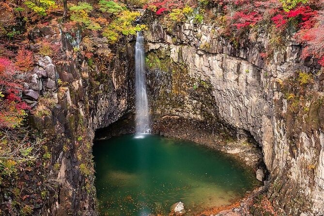 Yeoncheon Chrysanthemum Festival - Pyeongtaek Departure - Common Questions