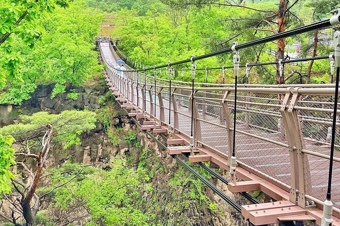 Yeoncheon Tour With Welcome Daehakro Opening Ceremony - Common Questions
