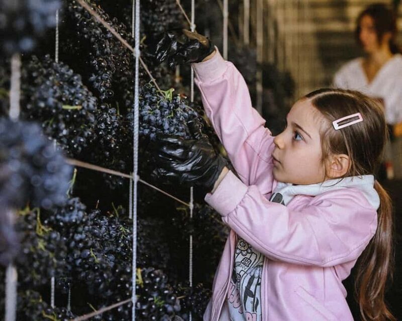 Yerevan: Gevorkian Winery Tour and Tasting Experience - Good To Know