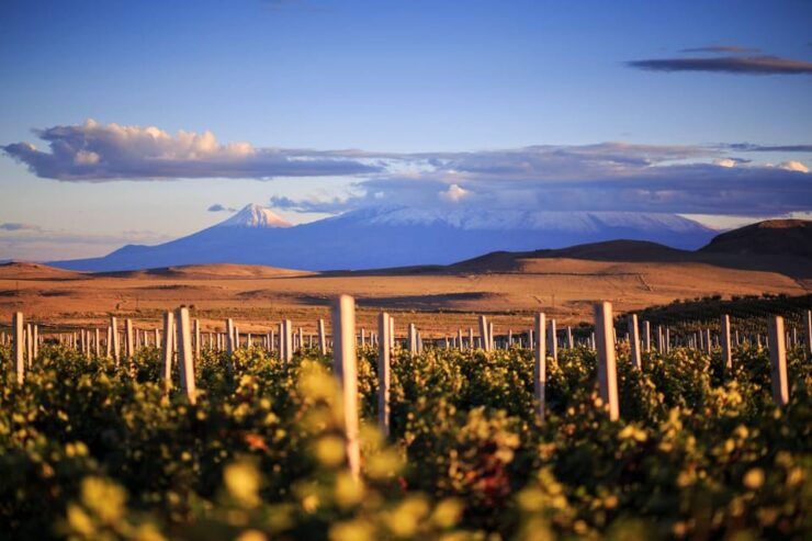 Yerevan: Khor Virap Day Trip With Mount Ararat Wine Tasting - Pricing Details