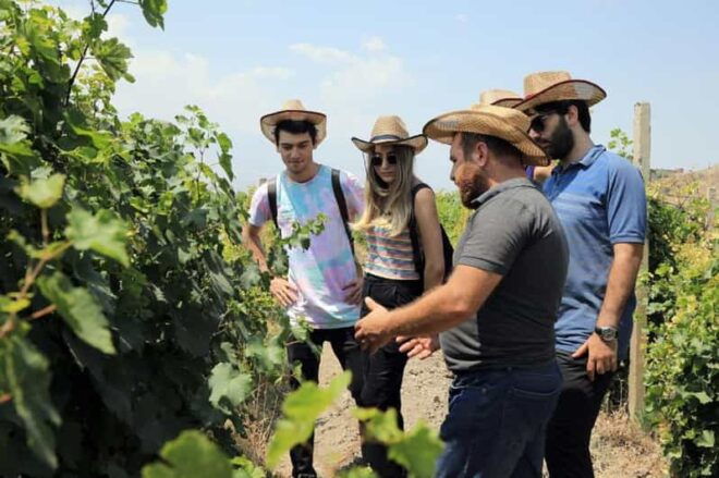 Yerevan: Khor Virap Day Trip With Mount Ararat Wine Tasting - Highlights of the Experience