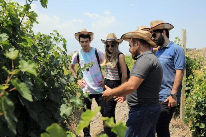 Yerevan: Khor Virap Day Trip With Mount Ararat Wine Tasting - Panoramic Views of Mount Ararat