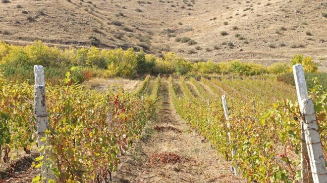 Yerevan: Khor Virap Day Trip With Mount Ararat Wine Tasting - Armenian Wine Tasting