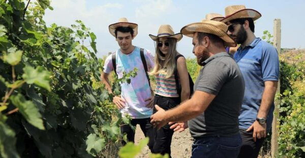 Yerevan: Khor Virap Day Trip With Mount Ararat Wine Tasting - Customer Testimonials