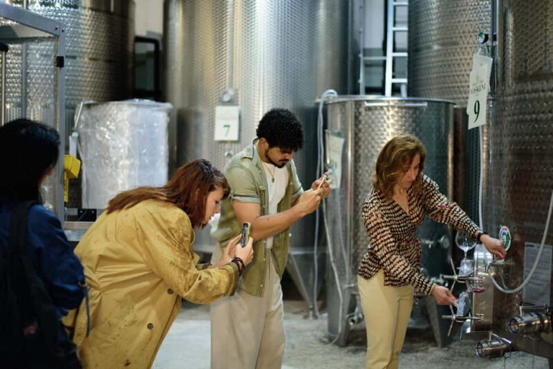 Yerevan: Wine Tasting and Vineyard Lunch at Voskeni Winery - Good To Know