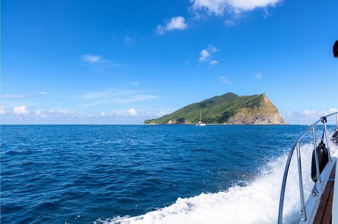 Yilan Day Tour Whale Watching Cruise and Animal Farm - Practicalities & Tips for a Smooth Day