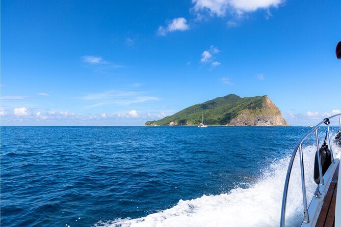 Yilan Day Tour Whale Watching Cruise and Animal Farm - Good To Know