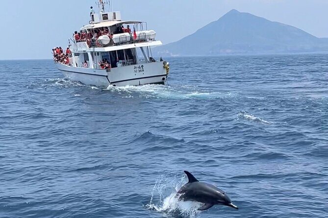 Yilan Day Tour Whale Watching Cruise and Animal Farm - Exploring the Itinerary in Detail