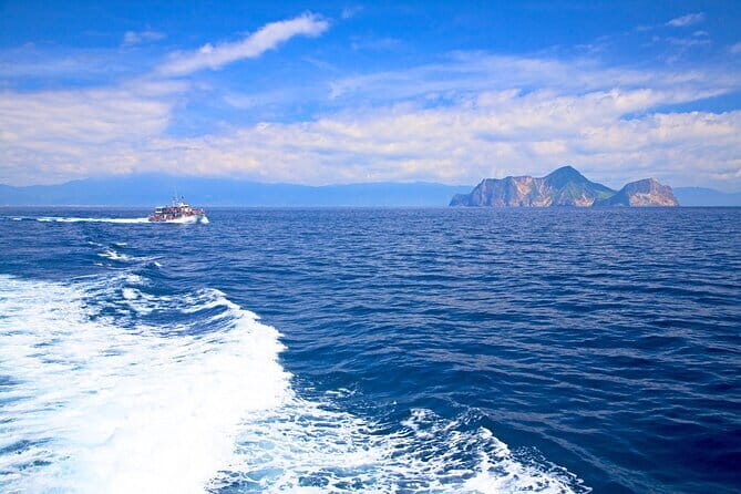 Yilan Whale Watching and Animal Farm Private Tour from Taipei - Discover Yilan’s Marine Wonders and Land Animals on a Private Tour from Taipei