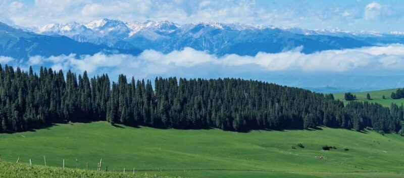 Yining, Xinjiang: 6-Day Kazakh Horseback Crossing Tour - Good To Know