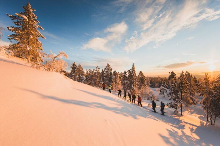 Ylläs: Forest Hike With Snowshoes and Campfire Snacks - Snowshoe Walking Techniques