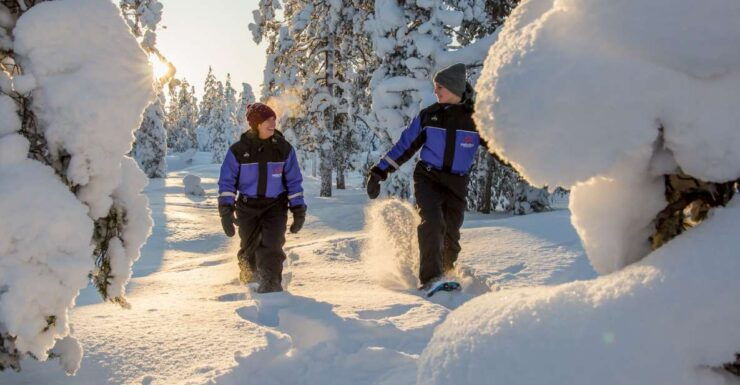 Ylläs: Forest Hike With Snowshoes and Campfire Snacks - Ylläs Forest Exploration