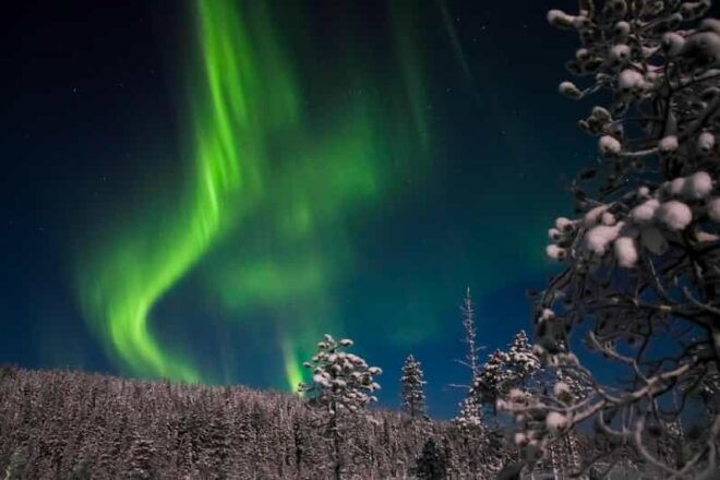 Ylläs: Seeking Northern Lights Photo Tour - Important Considerations for Participants