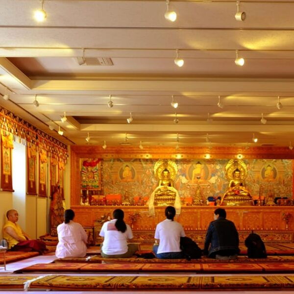 Yo-Event Meditation Retreat - Transportation and Access