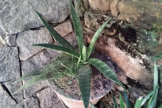 Yoga and Massage Nirvana. - What to Expect from Yoga and Massage Nirvana