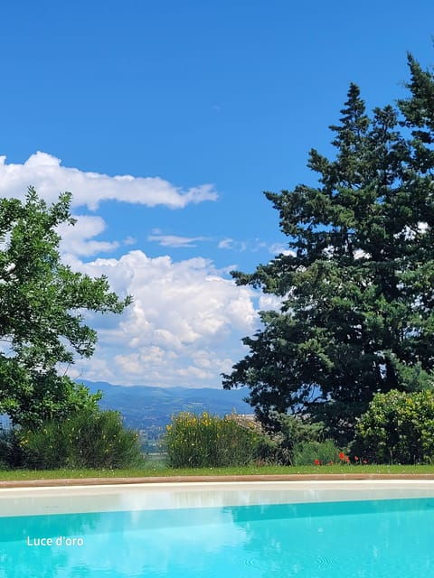 Yoga @ Assisi the Swimmingpool on Sunset - Good To Know