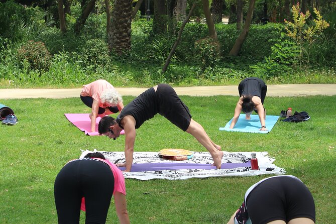 Yoga at María Luisa Park in Seville - Common Questions