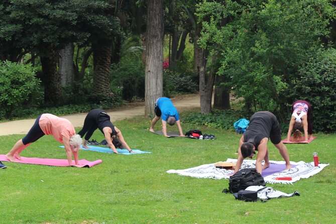Yoga at María Luisa Park in Seville - The Sum Up